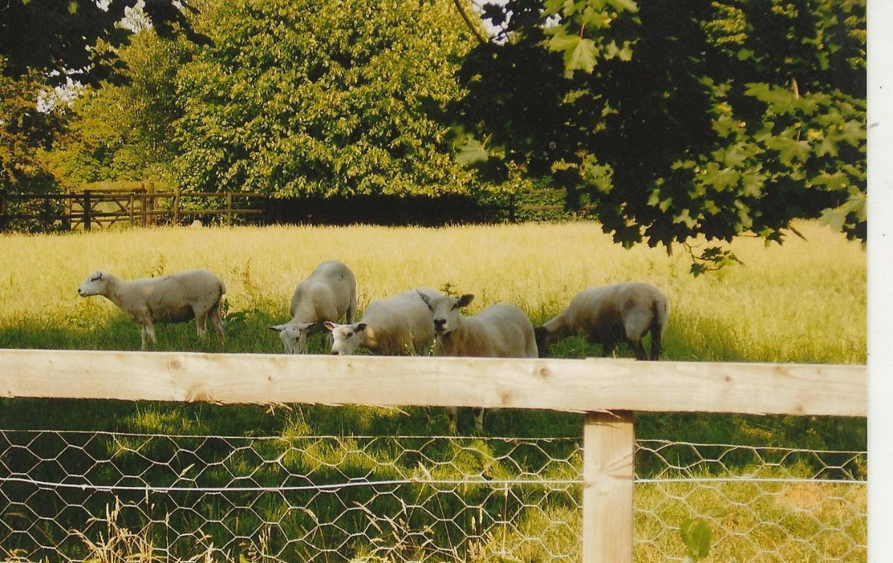 Bank Farm Cottages Нантуич Екстериор снимка